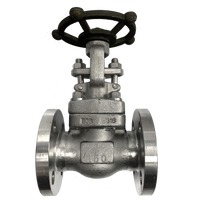 ANSI 150# SS316 Flange End Gate Valve