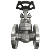 JIS 10K SS316 Flange End Gate Valve