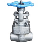 Threaded End SS316 Gate Valve 800PSI