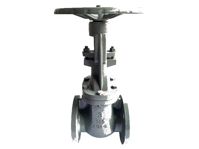 ANSI 150# Cast Iron Flange End Gate Valve