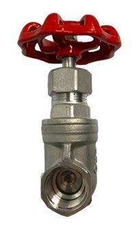 Threaded End SS316 Gate Valve 200PSI