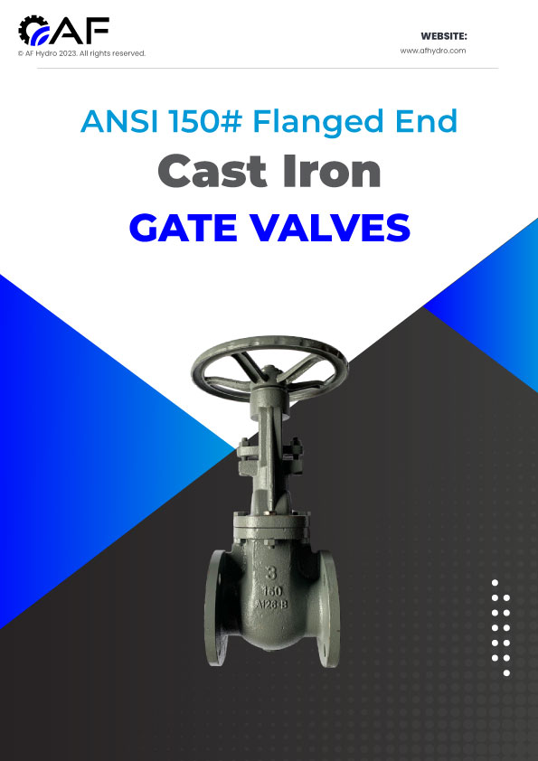ANSI 150# Cast Iron Flange End Gate Valve - 5