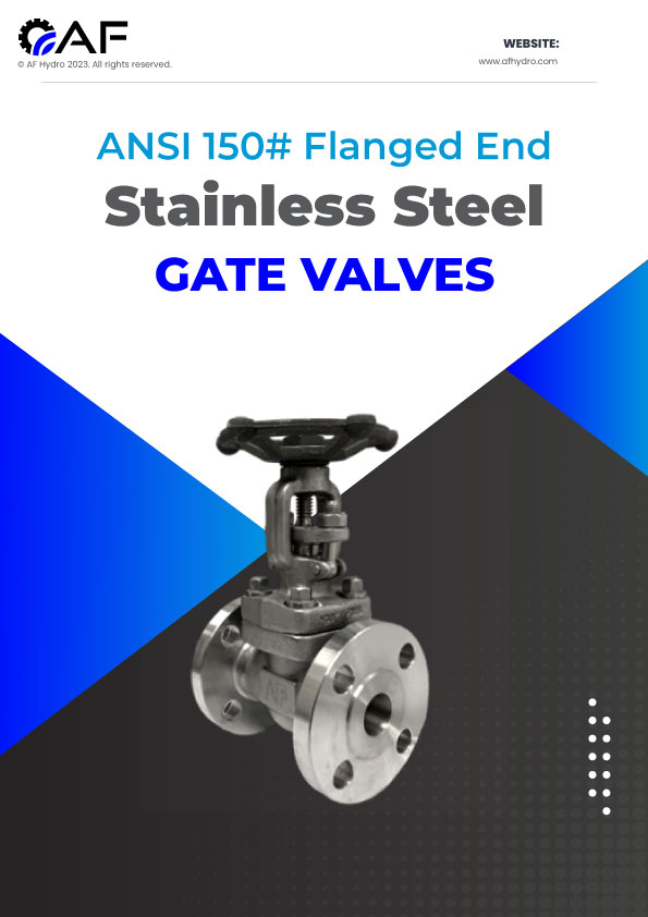 ANSI 150# SS316 Flange End Gate Valve - 2