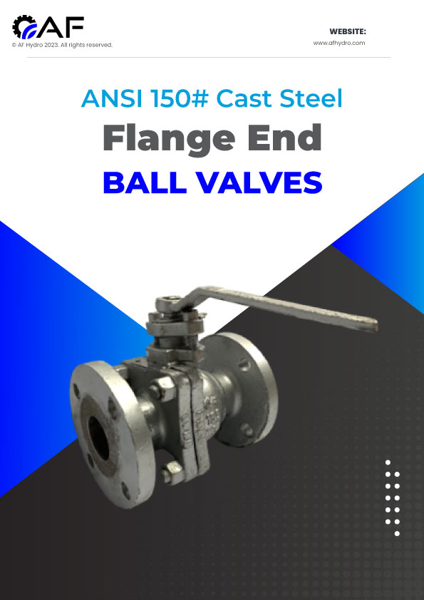 ANSI 300# SS316 Flange End Ball Valves Catalogue