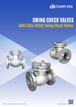 ANSI 150# SS316 Swing ​Check Valves Catalogue