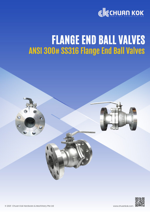 300# SS316 Flanged End Ball Valves Catalogue