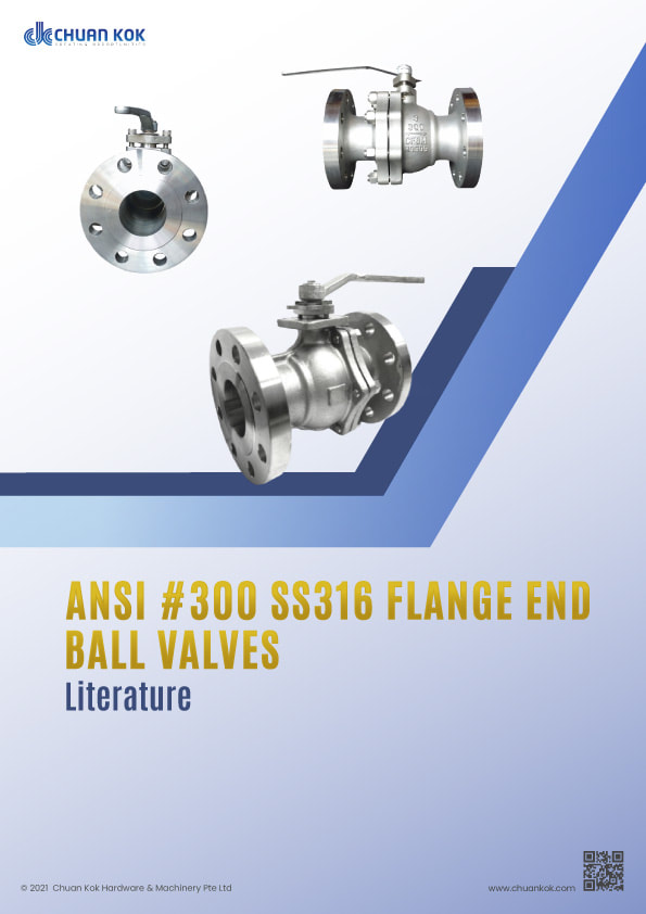 ANSI 300# SS316 Flange End Ball Valves Literature