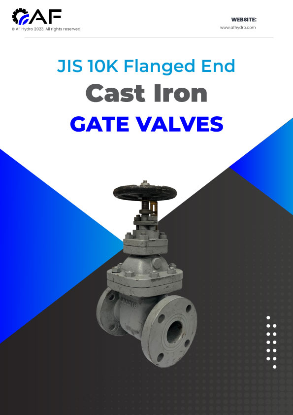 JIS10K Cast Iron Flange End Gate Valve: 5