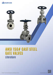 ANSI 150# Cast Steel Flange End Gate Valve Literature