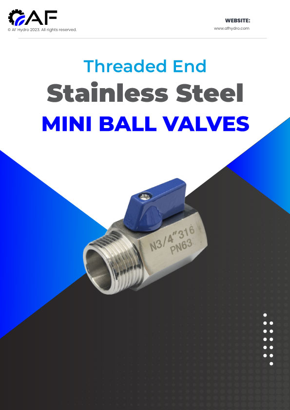 SS316 M x F Mini Ball Valve Catalogue