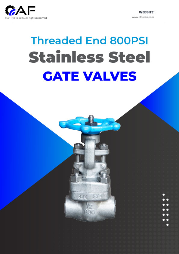 NPT SS316 Gate Valve 800PSI 