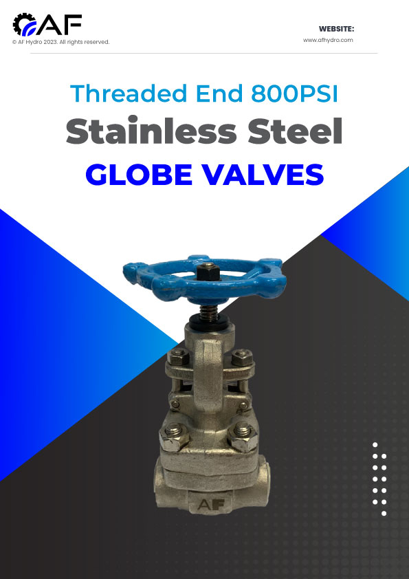 Threaded SS316 Globe Valve 800PSI